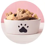 Acessórios para gatos